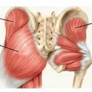 마디움한의원 이미지