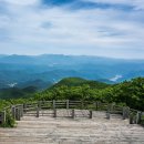 대티골계곡 이미지