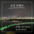연기면 금강보행교북측(좌) | [금강 보행교, 주차 꿀 팁] 대전 세종 야경 데이트 맛집 콘텐츠가 넘쳐요!/ 대전 근교 야간 드라이브...