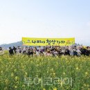 종로-종로-종로-종-120 이미지