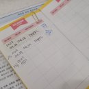 김해 강아지분양 베베몽 이미지