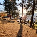 감천산림공원 이미지