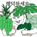 지산다육