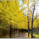 영주 부석사의 깊어가는 가을 이미지