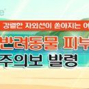 이끌림동물병원 이미지