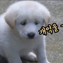 닉스 - 진천군 | 닉스