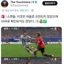 노파울이라는 몰리나 파울.jpg 이미지