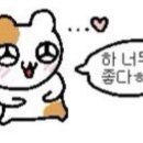 부평한솔정형외과