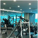 나의 운동일지PT 이미지