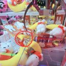 아놔뽑기방 | 광주 충장로 탑텐 갤러리존 근방 신상 인형뽑기 후기