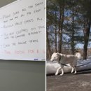 현대 I 세탁 이미지