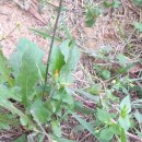 서온요양병원 이미지