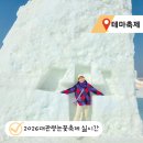11620-22-93-1 | 대관령 눈꽃축제 2026 시간 주차 눈썰매장 실시간 후기