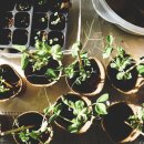 경남농약종묘사 이미지