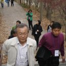 21 이미지