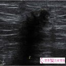 분홍빛으로 병원 이미지