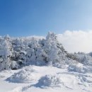 동화속이야기 이미지