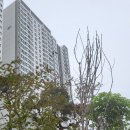 153식자재마트 이미지