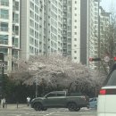 응응스크르대구 | 260411-12 시골쥐 벤트의 박효신 영접날