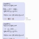 (먹지의 결혼후기) 더 브릿지 본식 스냅 셀렉 후기_웨스턴팰리스 홀패키지