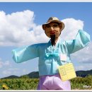 허수아비 이미지