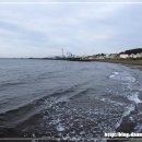 삼양해수욕장 이미지