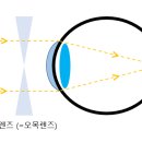 유어스안경 네이버블로그