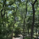 비석골화장실 이미지