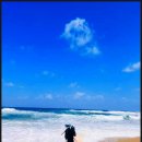 바다여행 이미지