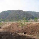 동면게이트볼장 이미지