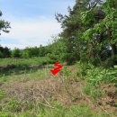 삼화축사 이미지