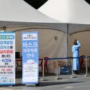 코로나