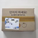 보고농산 | 대극천복숭아 내돈내산 싱싱청년농산 딱복후기