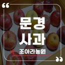 조아라농원