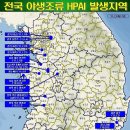 고병원성 AI 신고 상황 (2월18일 89차 검사결과 ) - 경기 이천시 설성면 상봉리 육용종계 H5N1 양성 이미지