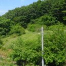 무릉도원면-25 이미지