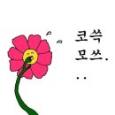 비코펜션 | 여행 후유증.