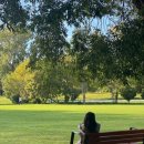 킴스케빈 | 정신줄 놓고 쓰는 아무말과 불평불만 그리고 지루한 워홀 2주차