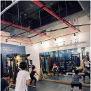 바디복싱 이미지