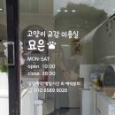 묘은 이미지