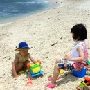 제주 우도 홍조단괴 해빈 이미지