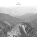 메모리아 이미지