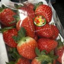 선영이네농장 이미지