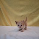 군산시-01070 이미지