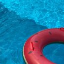 곰골스카이 이미지