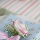 이야기,꽃 이미지