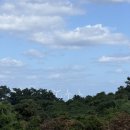 야베스의 집 이미지