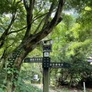 캠핑 후기 - 소백산국립공원 남천야영장