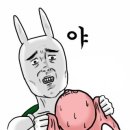 코코언니 이미지