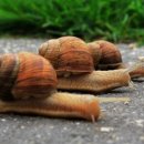 영어(기초) 이미지